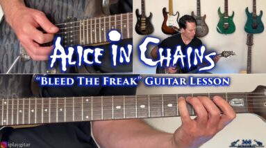 Alice In Chains - Bleed The Freak Guitar Lesson