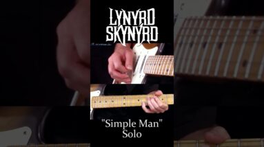 Simple Man Solo - Lynyrd Skynyrd