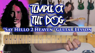 Temple of the Dog - Say Hello 2 Heaven Guitar Lesson